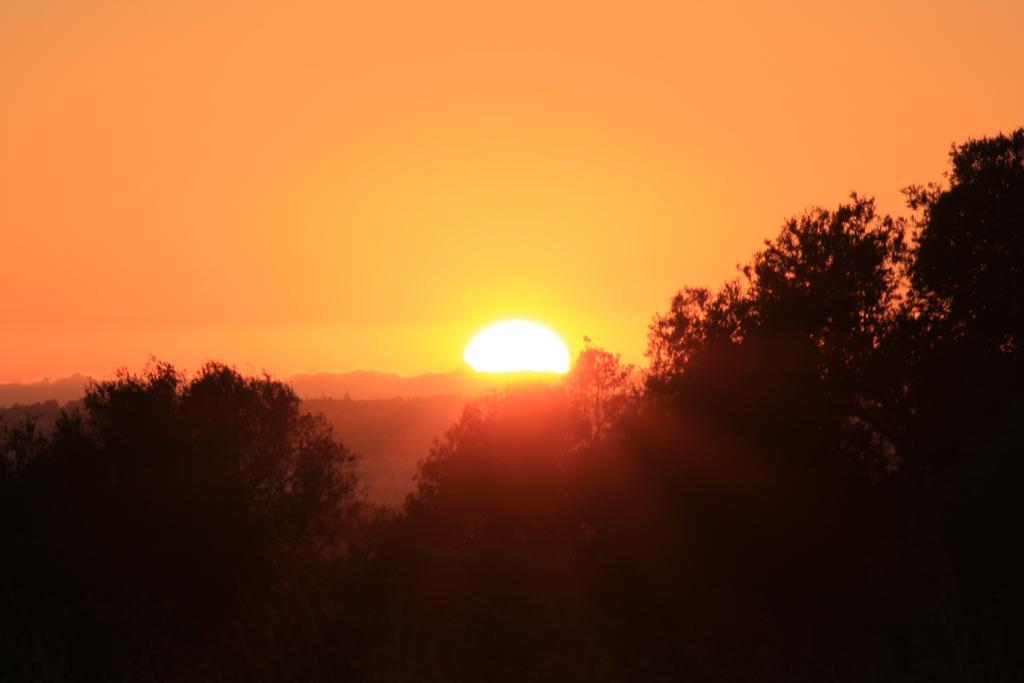 Sunshine Hotell Albufeira Eksteriør bilde