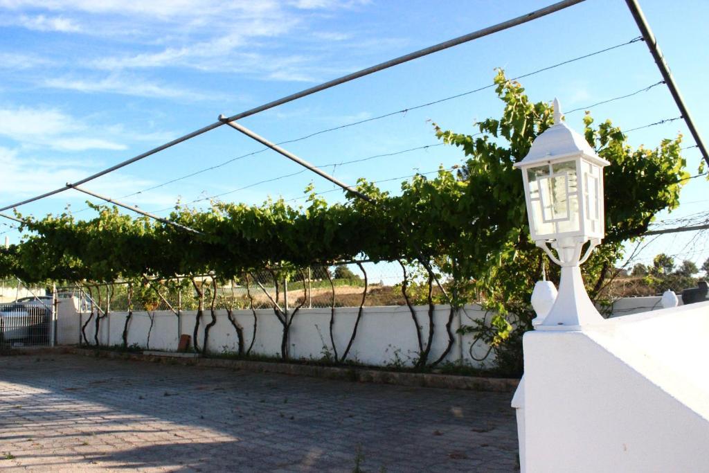 Sunshine Hotell Albufeira Eksteriør bilde